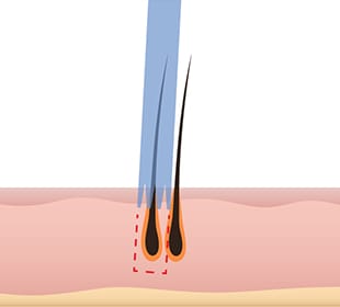 0.8mm 펀치 일러스트 이미지