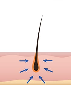 피부조직이 딱 맞물림 일러스트 이미지